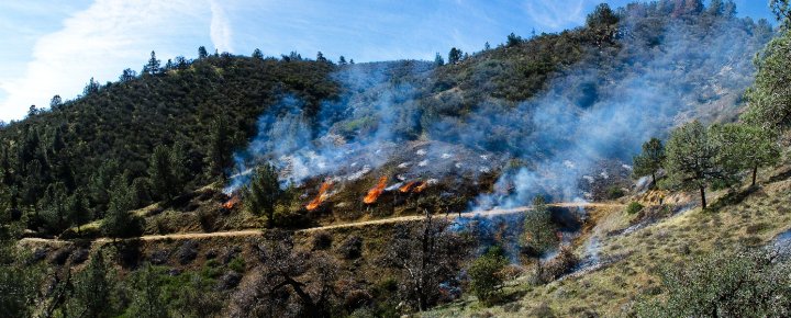 prescribed fire in Golden Hills