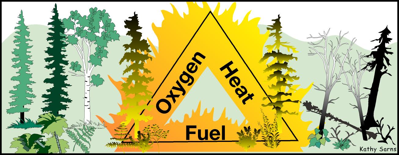 Wildfire 101  The Fire Triangle And The Fire Tetrahedron