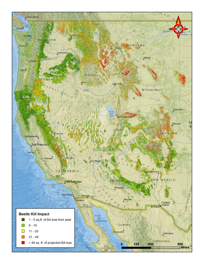 Bark Beetle impact from 2012 US Forest Service report