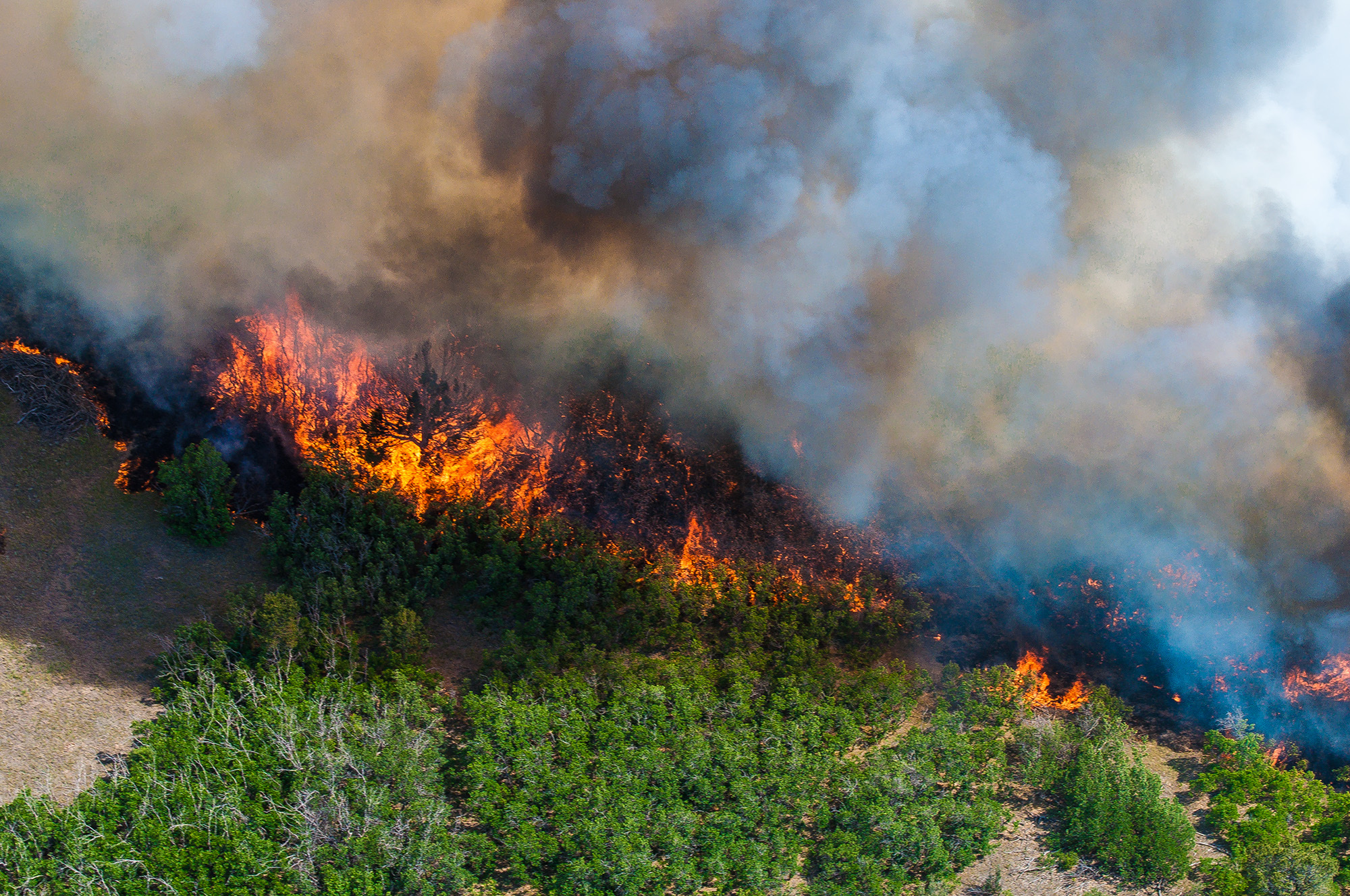 East Peak Fire