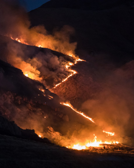 Wildfire Outlook: April 2020 – July 2020