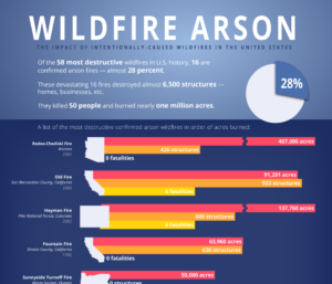 wildfire arson