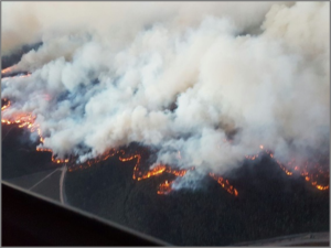Aerial photo over Kynsna area of wildfires (Source: South African Red Cross)