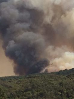 Whittier Fire Prompts Evacuations in Santa Barbara County