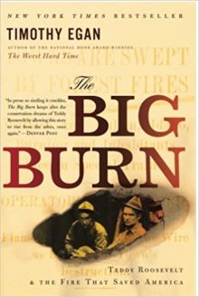 Book Review: “The Big Burn: Teddy Roosevelt and the Fire that Saved America”