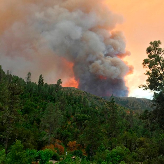 Ferguson Fire Scorches over 21,000 acres near Yosemite