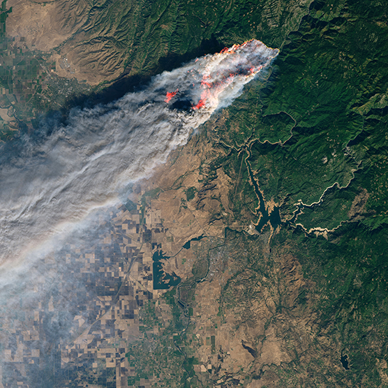 Wildfire Dynamics