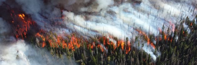 Wildfire Outlook: October 2019 – January 2020