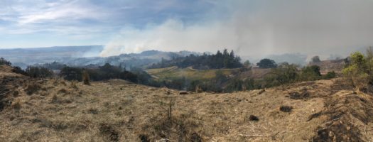 Kincade Fire burning through rural lands in Sonoma County