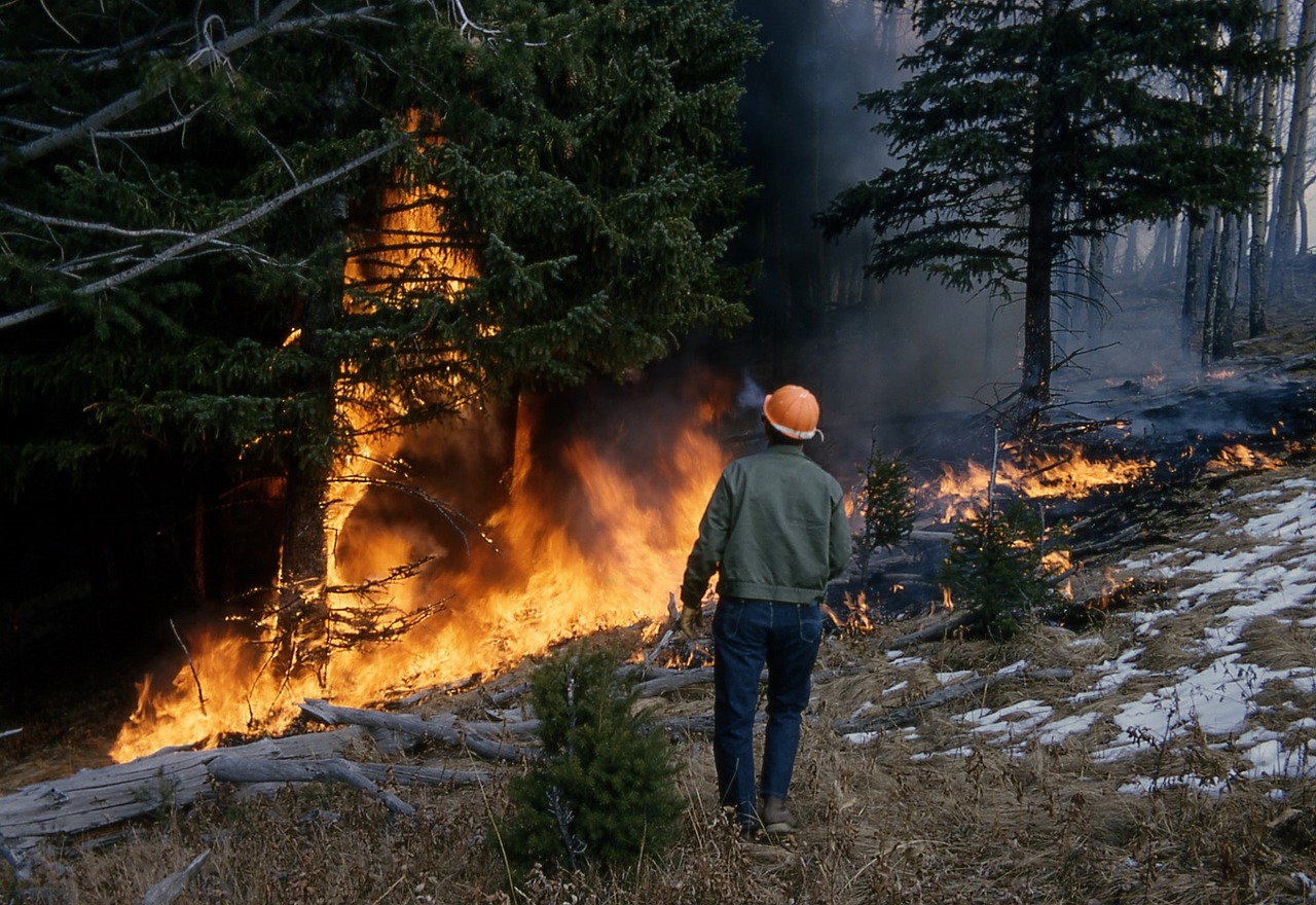 Prescribed Fires Help Land Management