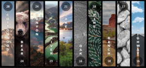 top wildfire names