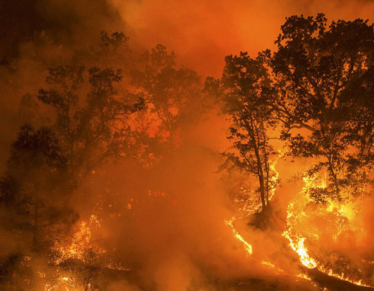 Record Setting 2020 Wildfire Season- A look Back