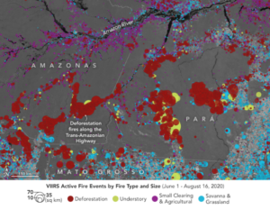 Satellite view of VIIRS Fire Activity in the Amazon Categorized by Fire Type