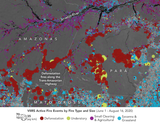 Satellite view of VIIRS Fire Activity in the Amazon Categorized by Fire Type