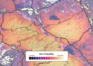 Wildfire Risk Management
