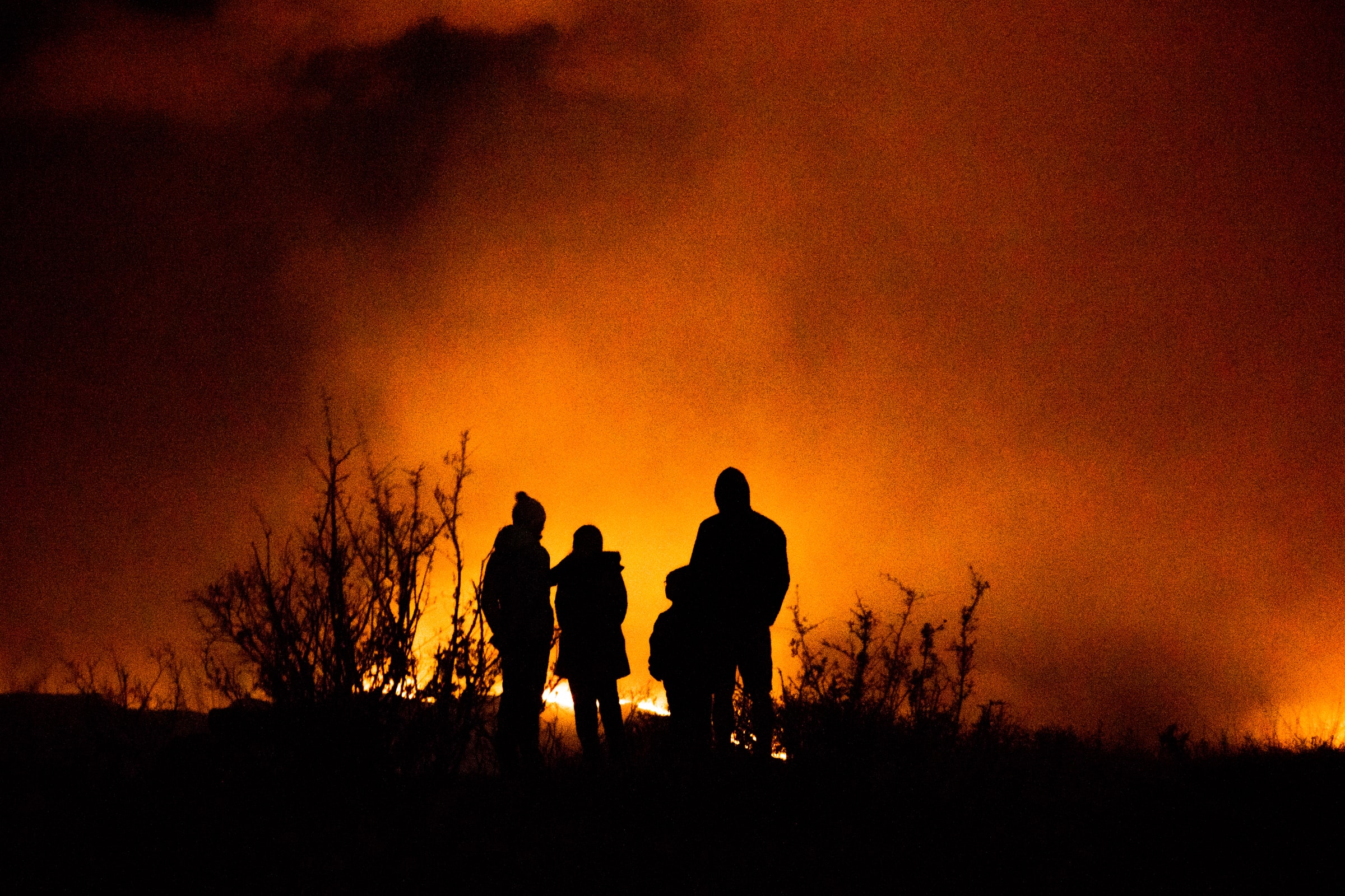 The Most Common Causes of Wildland Fires