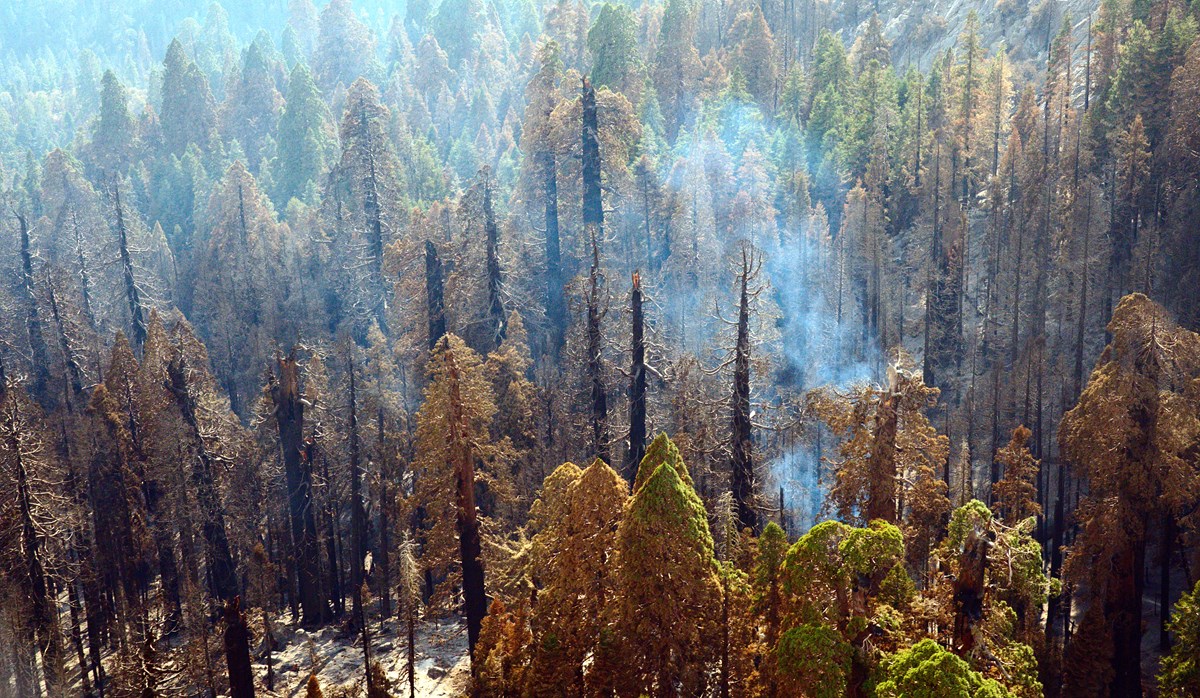 Wildfire Outlook April Through July 2024