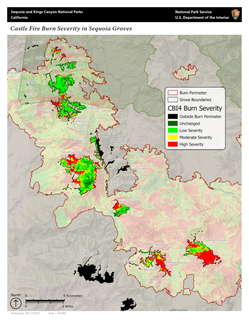 Map Depicting the Castle Fire Burn Severity in the Sequoia Groves