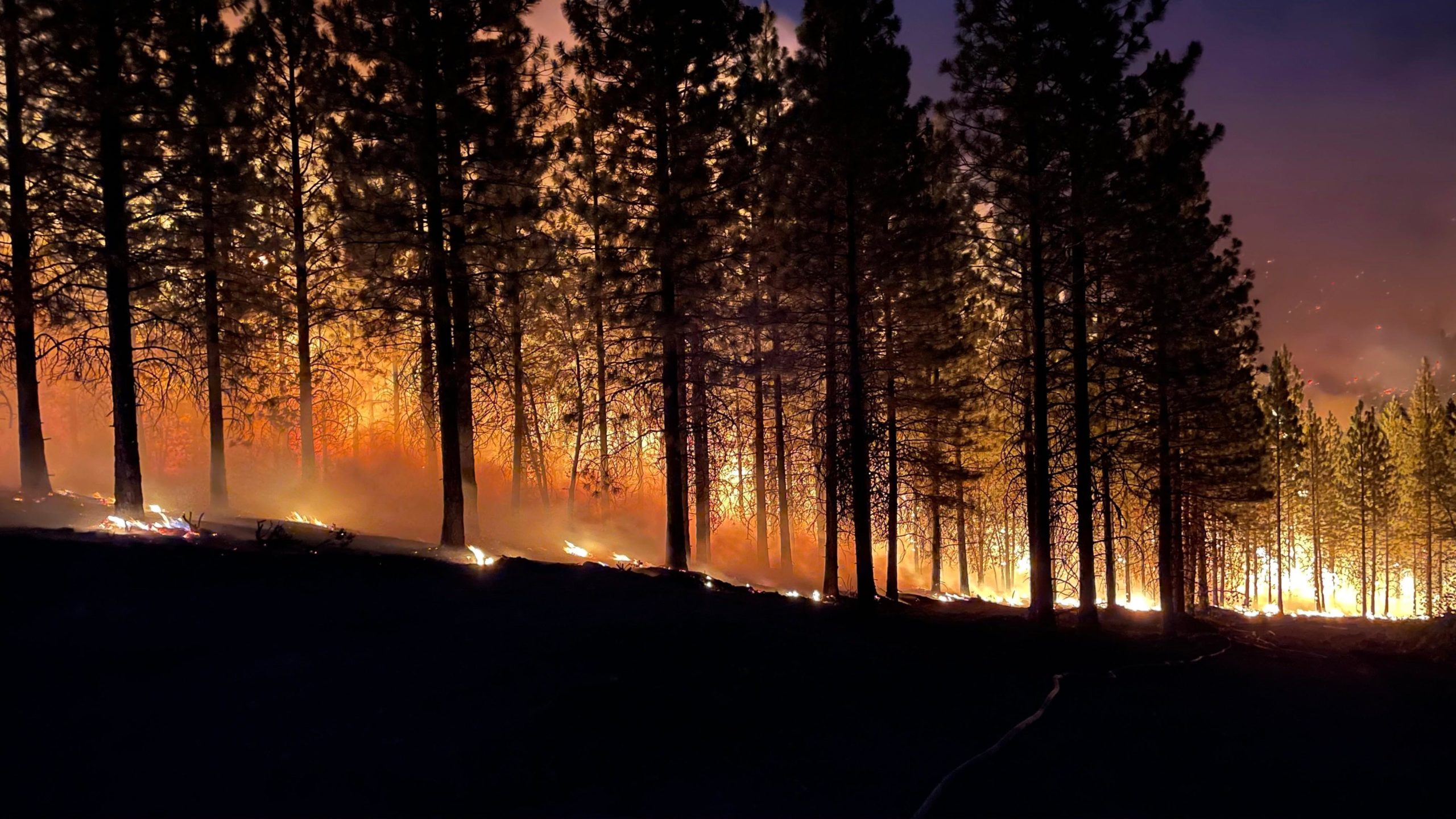 Wildfire Technology – Fire Integrated Real-time Intelligence System (FIRIS)