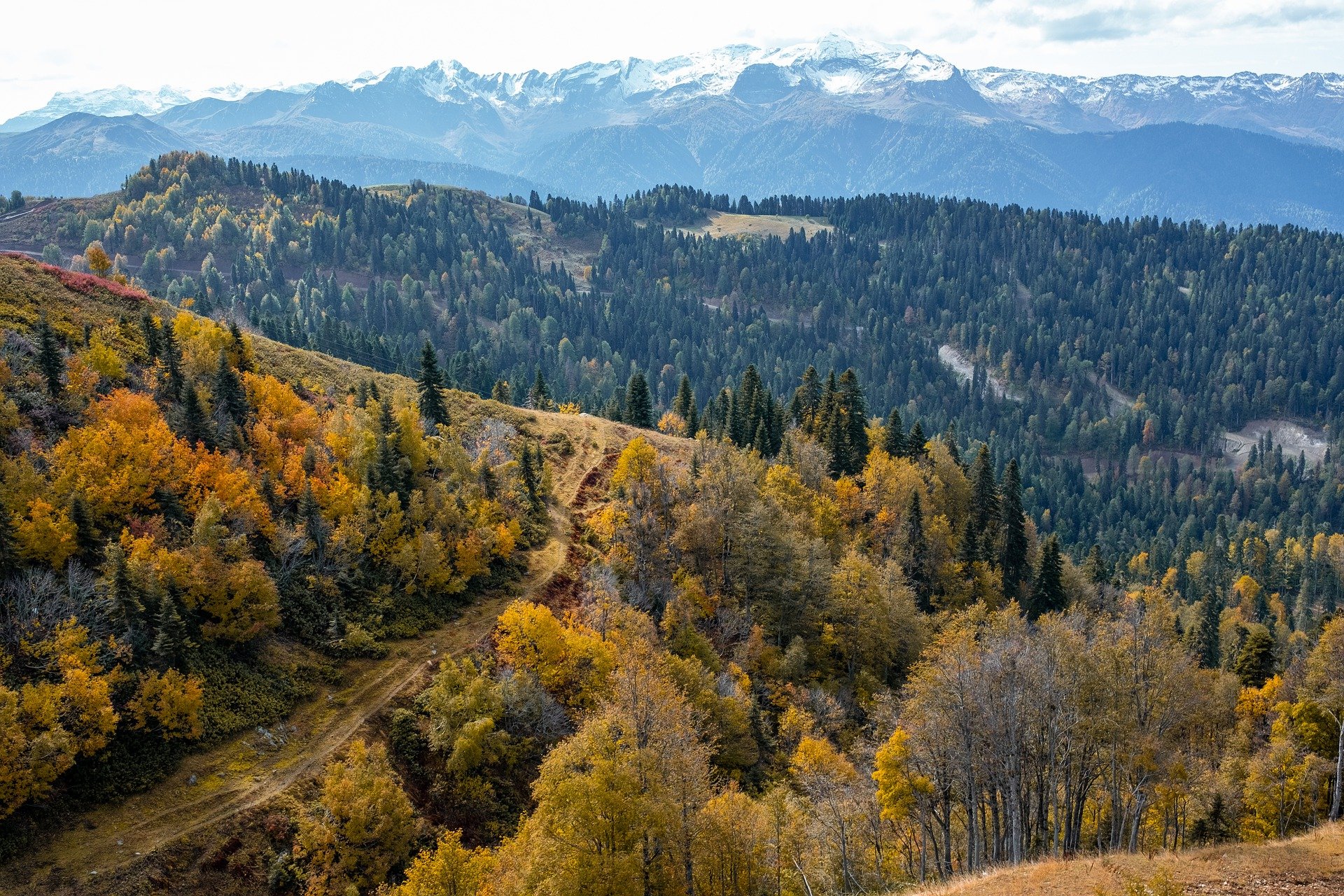 Wildfire Outlook for December 2021-March 2022