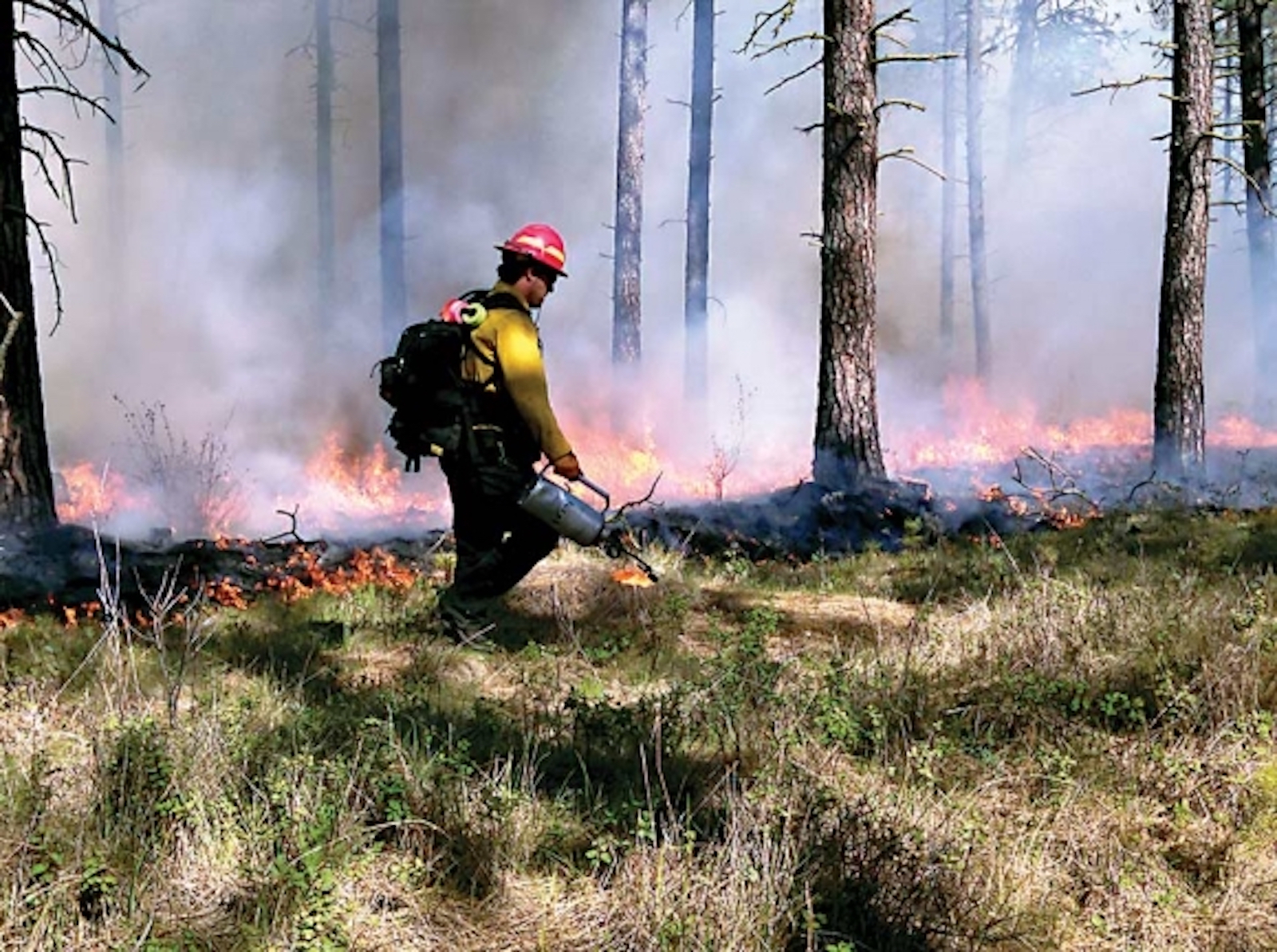 Benefits and Challenges of Prescribed Burns