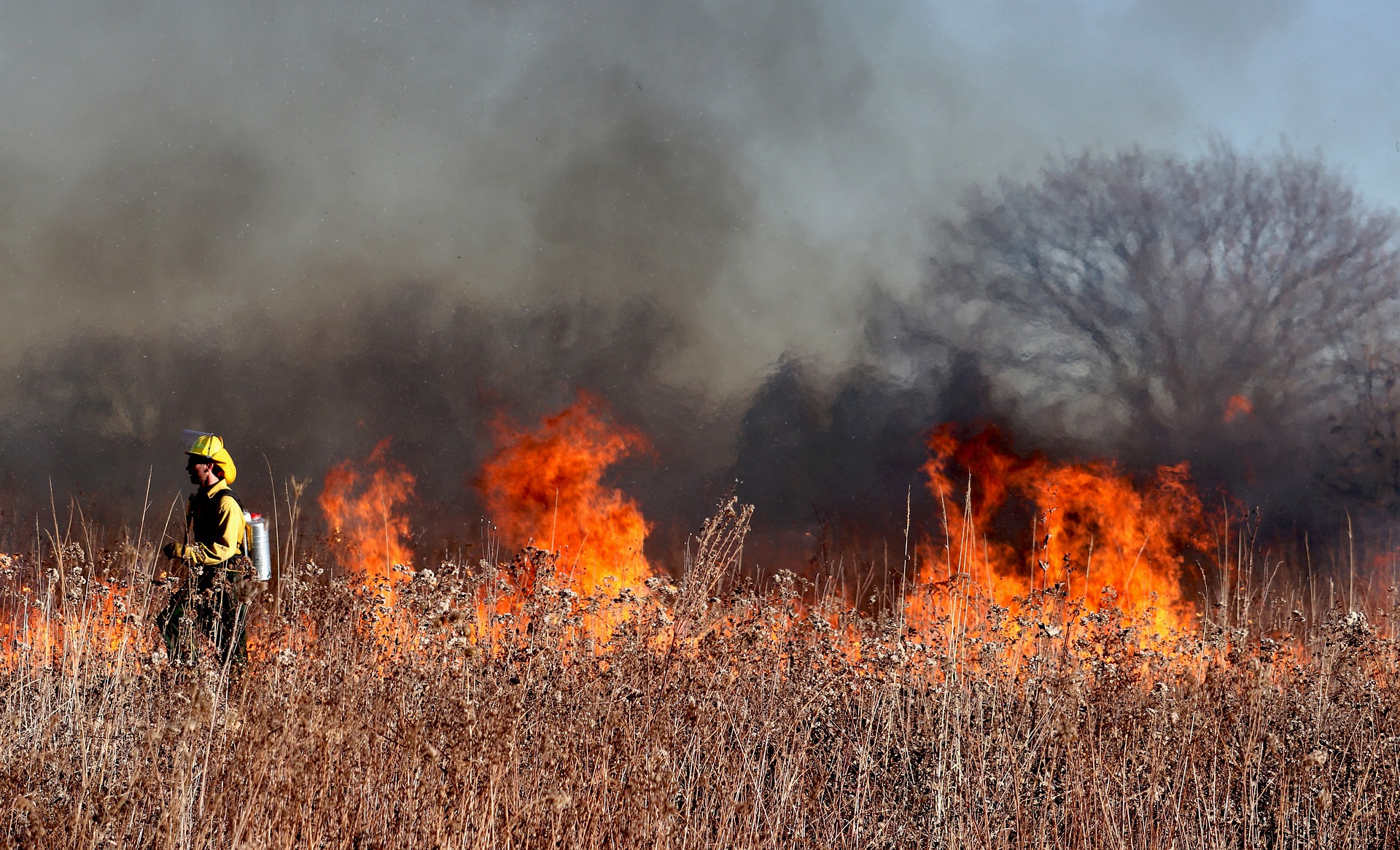 Wildfire Outlook January Through April 2024