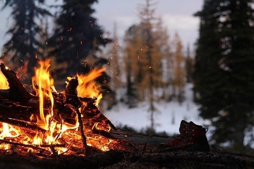 The Growing Threat of Wildfires: Key Findings from the 2023–2024 Report