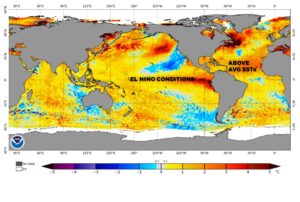 sst anomalies