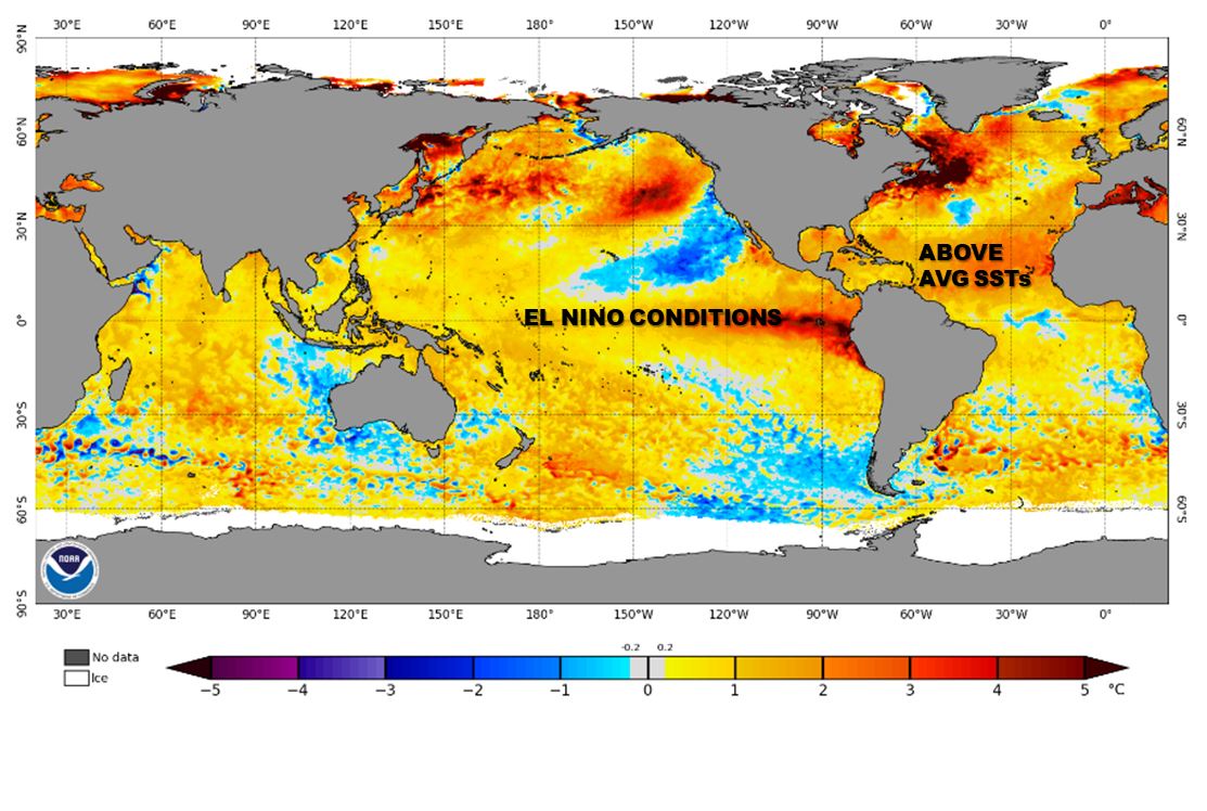 sst anomalies 