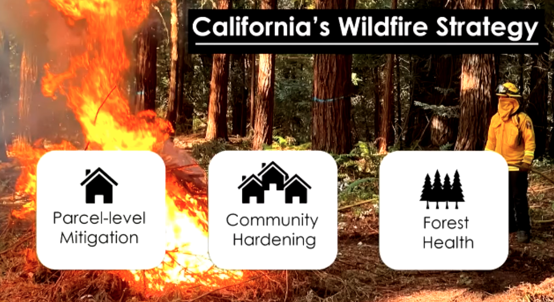 California's Wildfire Strategy