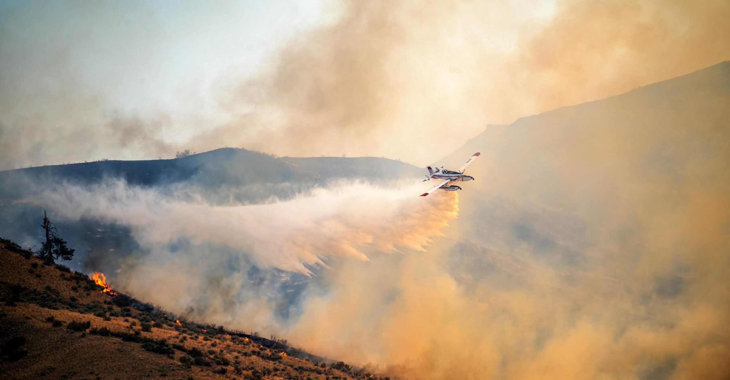 Tanker, Super Scooper, & More – How Wildfire Aircraft Compare