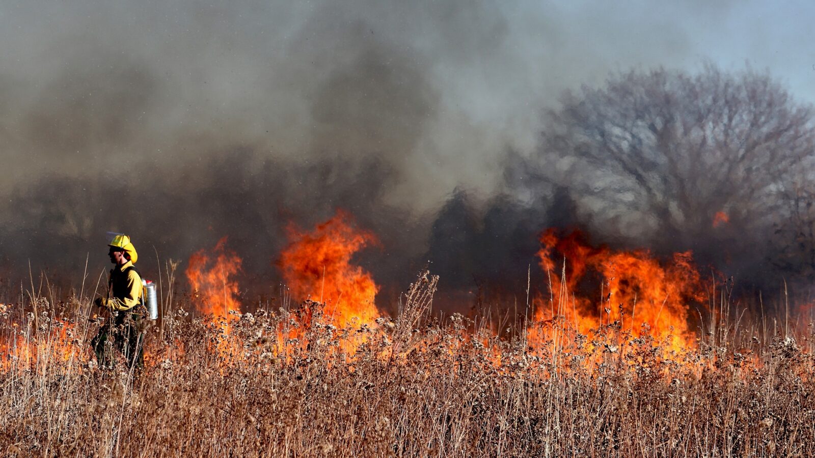 Firefighter watching a grass fire burn through dry vegetation